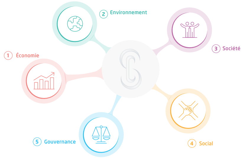 Cousin CSR policies diagram